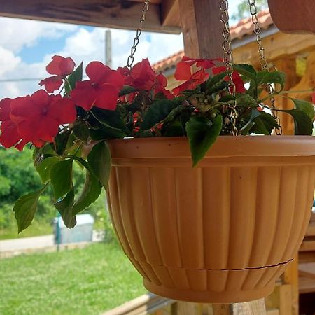 Mini Complex Rilski Terasi Sapareva Banya Buitenkant foto