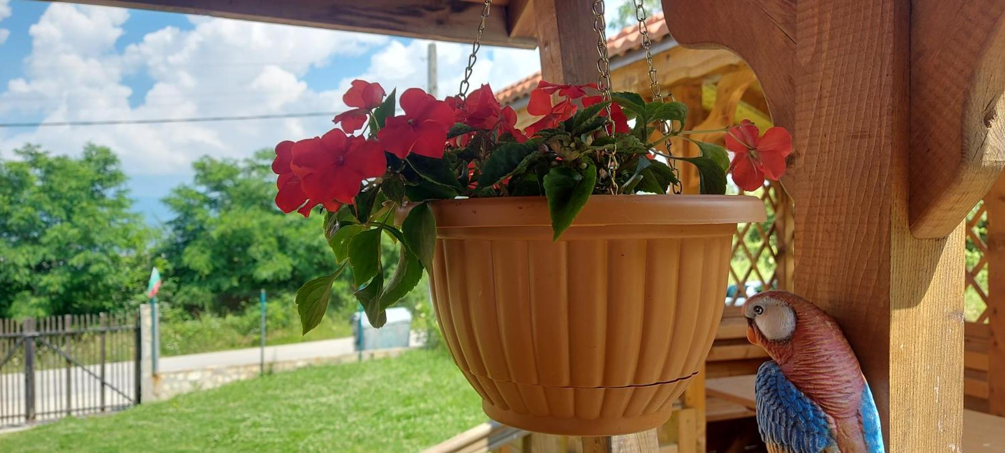 Mini Complex Rilski Terasi Sapareva Banya Buitenkant foto