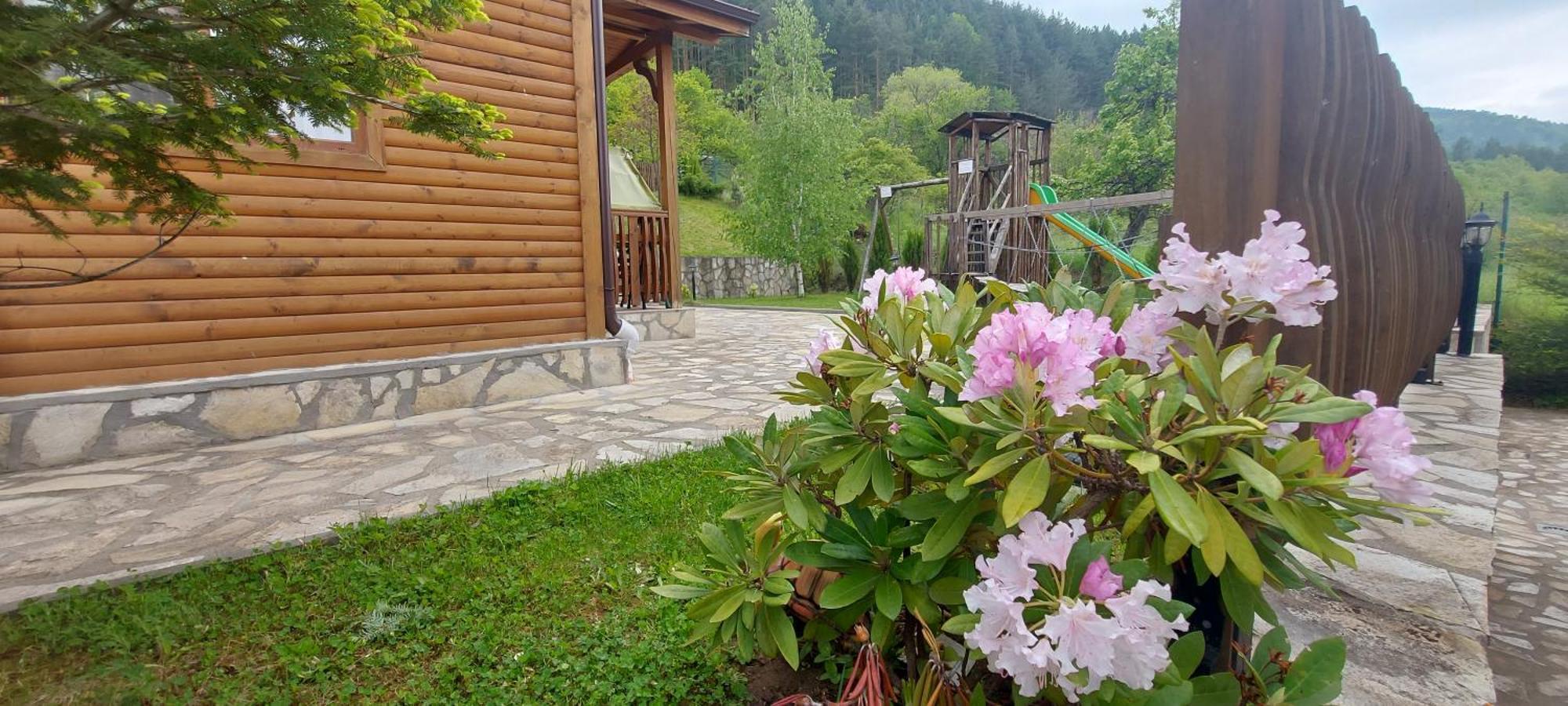 Mini Complex Rilski Terasi Sapareva Banya Buitenkant foto