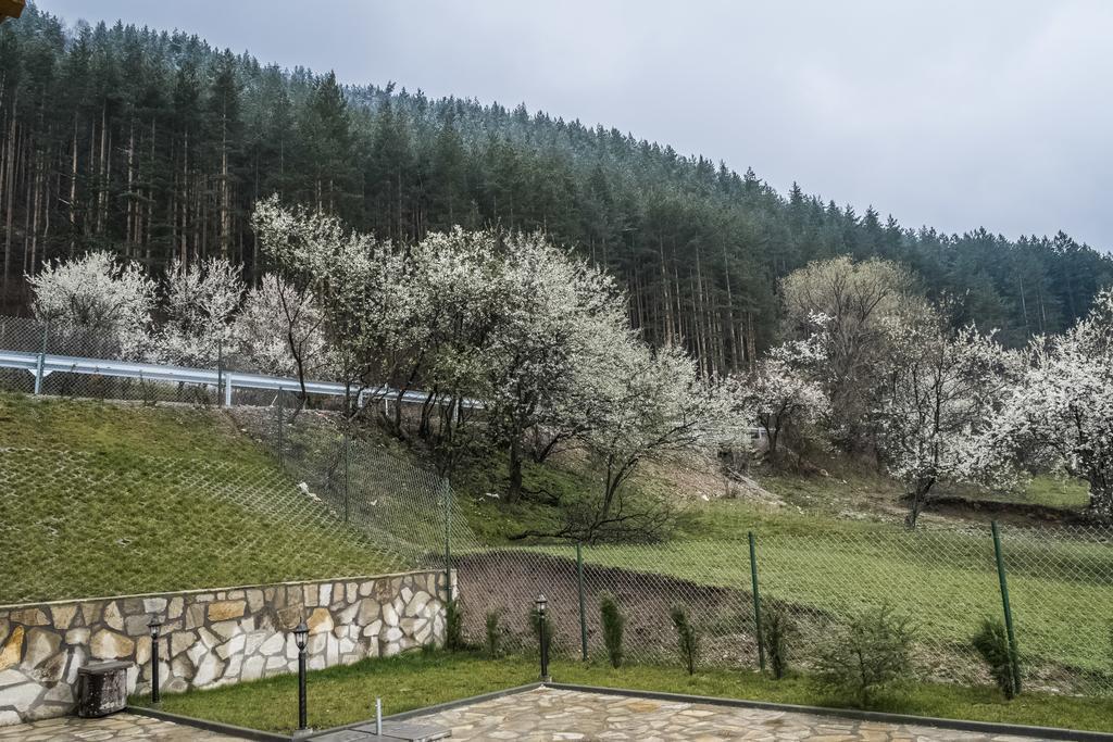 Mini Complex Rilski Terasi Sapareva Banya Buitenkant foto